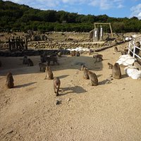 銚子渓お猿の国の様子