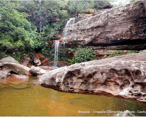 Help in the farm and nursery activities in Chapada Diamantina, Bahia