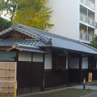 全 景