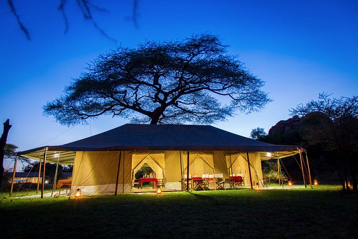 Vergemakkelijken Verdorren uit KISURA SERENGETI MOBILE CAMP - Prices & Campground Reviews (Serengeti  National Park, Tanzania)