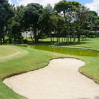 Muito verde para relaxar
