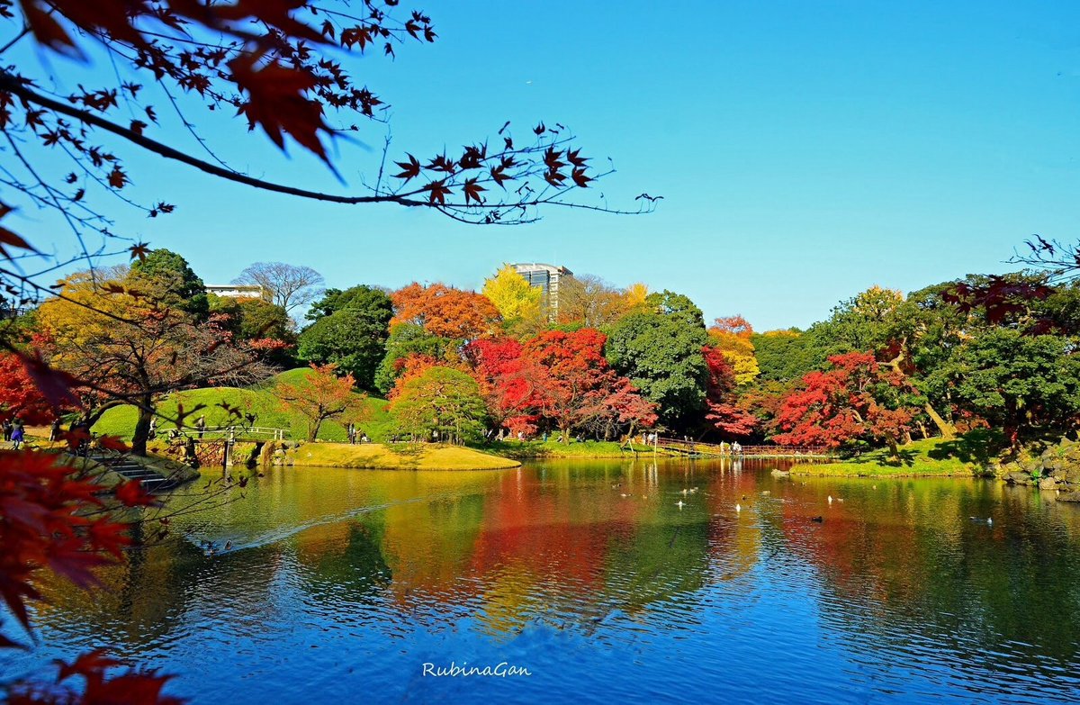 Koishikawa Korakuen Garden, Бункё: лучшие советы перед посещением -  Tripadvisor