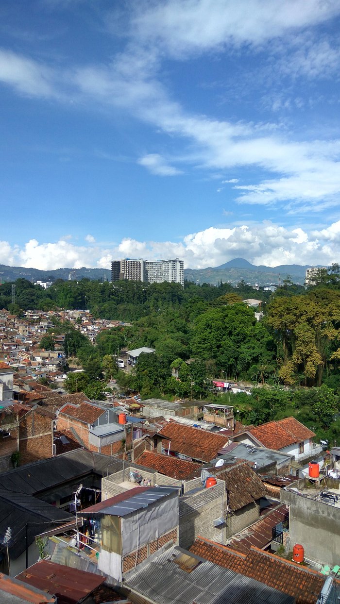 The Regia Dago - Foto #2