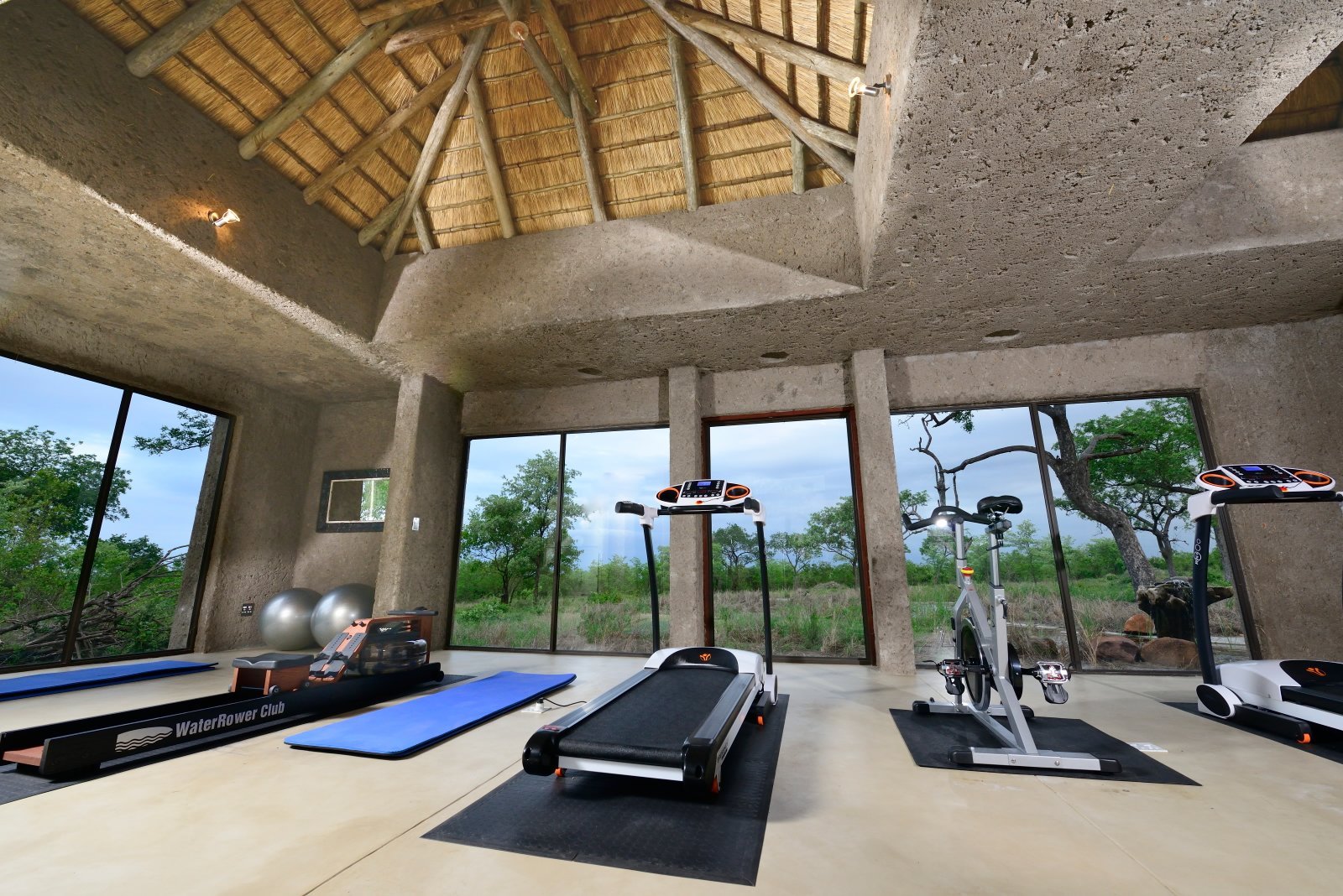 Sabi Sabi Earth Lodge by null