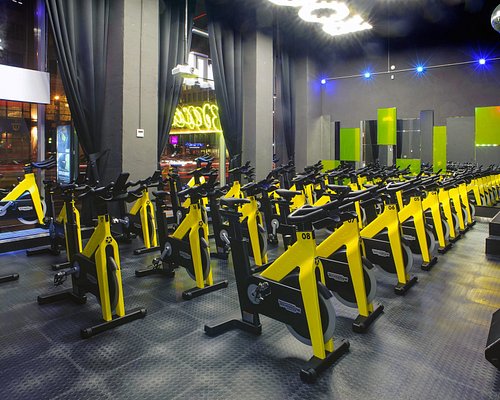 training journey gym