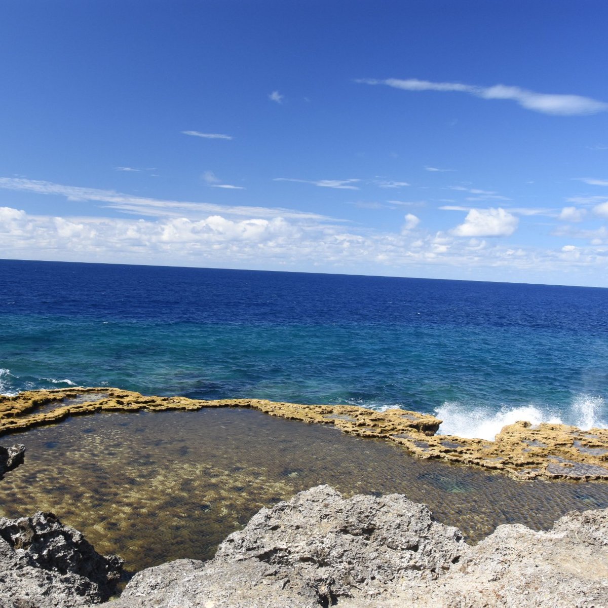 Mapu'a 'a Vaea Blowholes - All You Need to Know BEFORE You Go (2024)