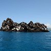 Things To Do in 8-day Galapagos hotel-based package, Restaurants in 8-day Galapagos hotel-based package
