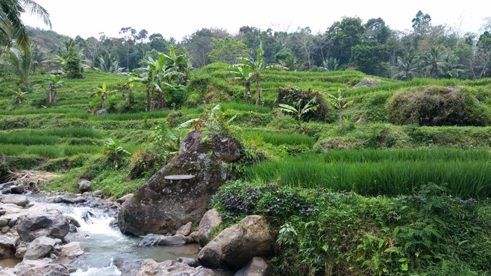 hotel galaksi ponorogo