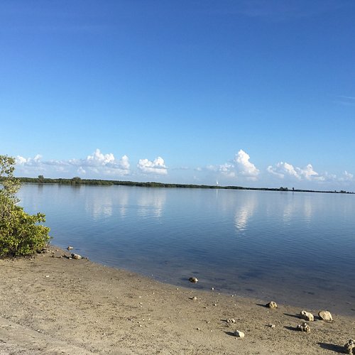 parques naturales en tampa fl