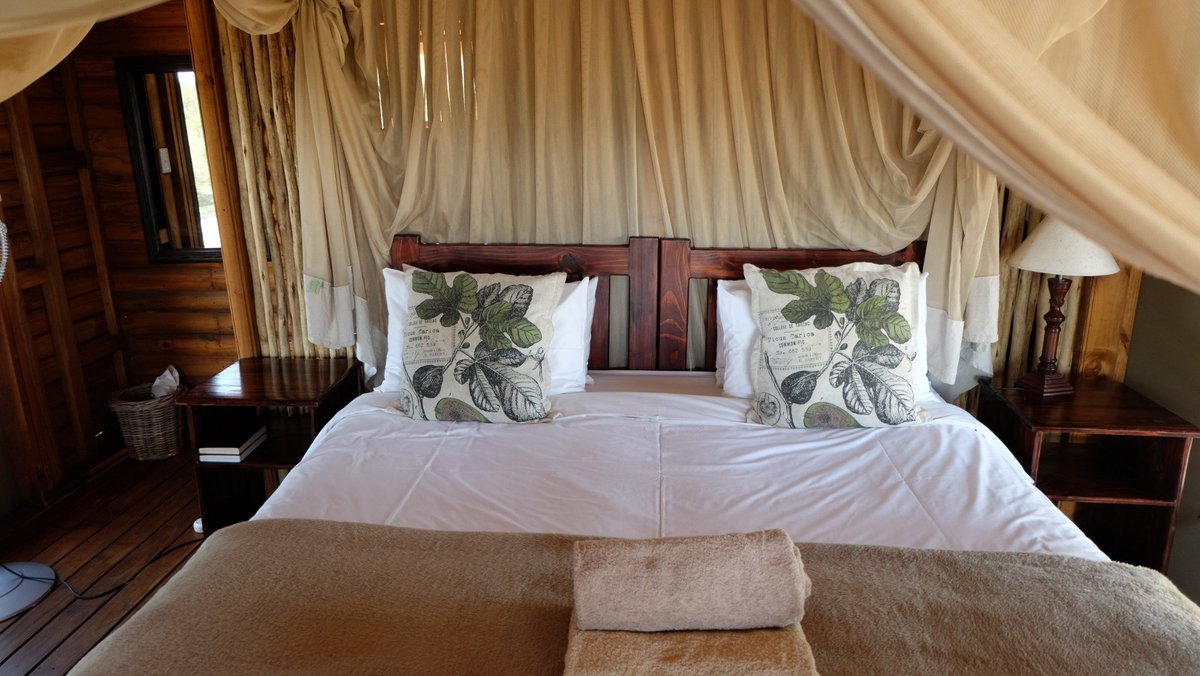 NTHAMBO TREE CAMP - Updated 2022 Prices & Hotel Reviews (South Africa ...