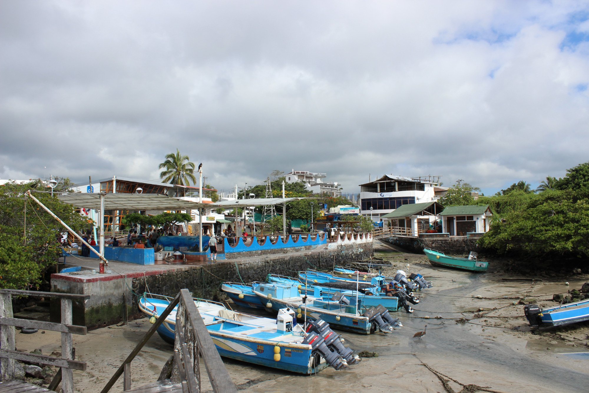 Santa Cruz Fish Market All You Need to Know BEFORE You Go with