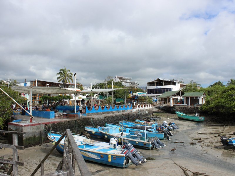 Galapagos Islands 2024: Best Places to Visit - Tripadvisor