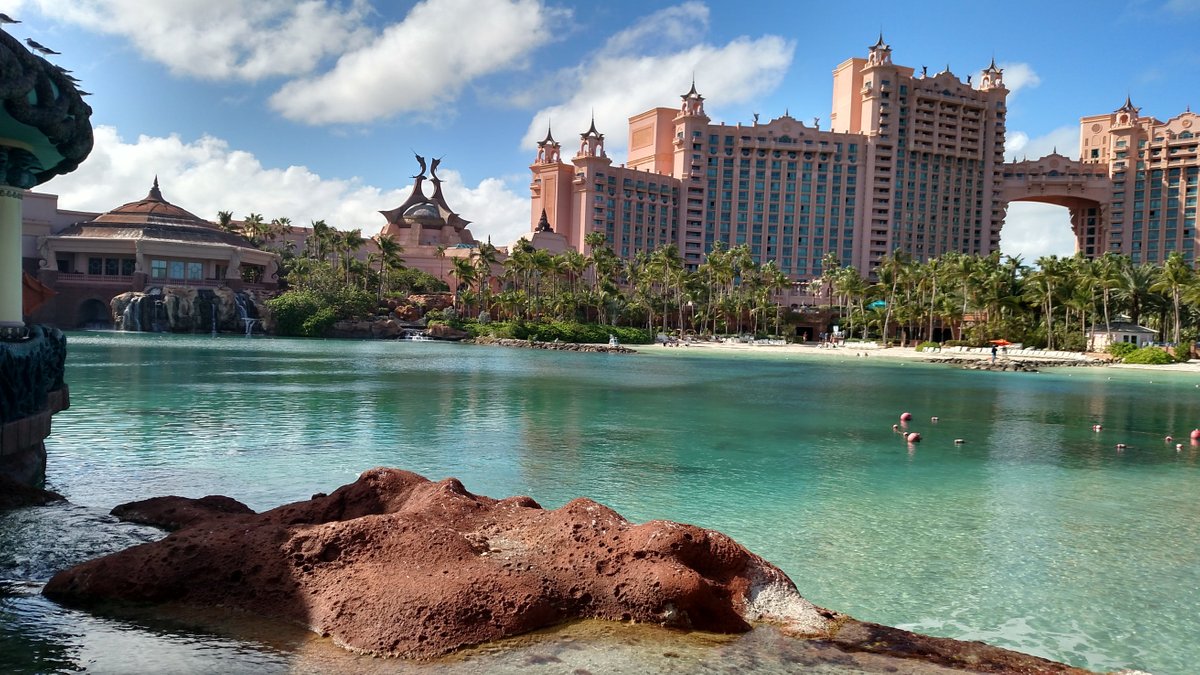 THE 10 BEST Restaurants in Paradise Island (Updated January 2024)