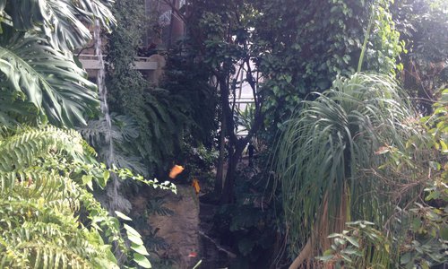 Indoor Butterfly Palace at the HMNH