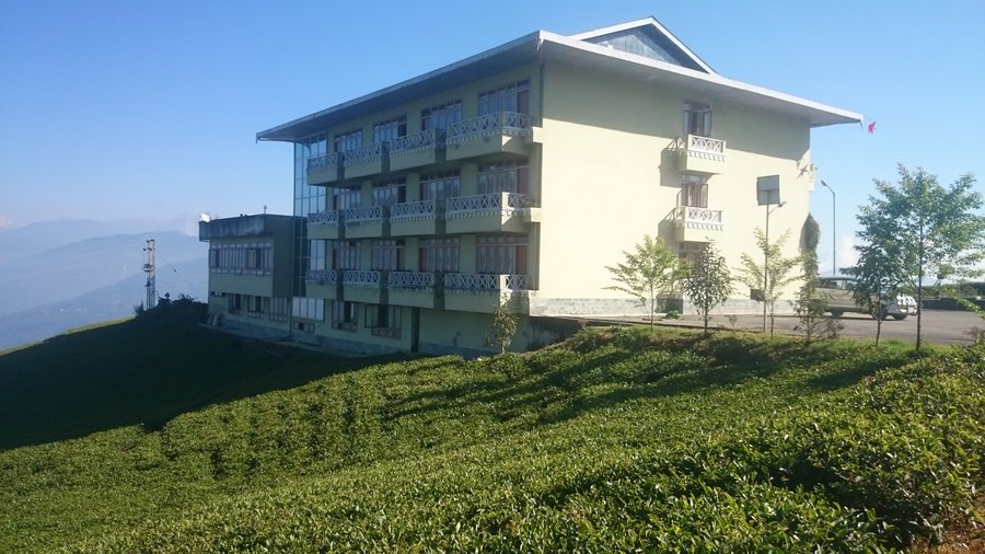Cherry Resort