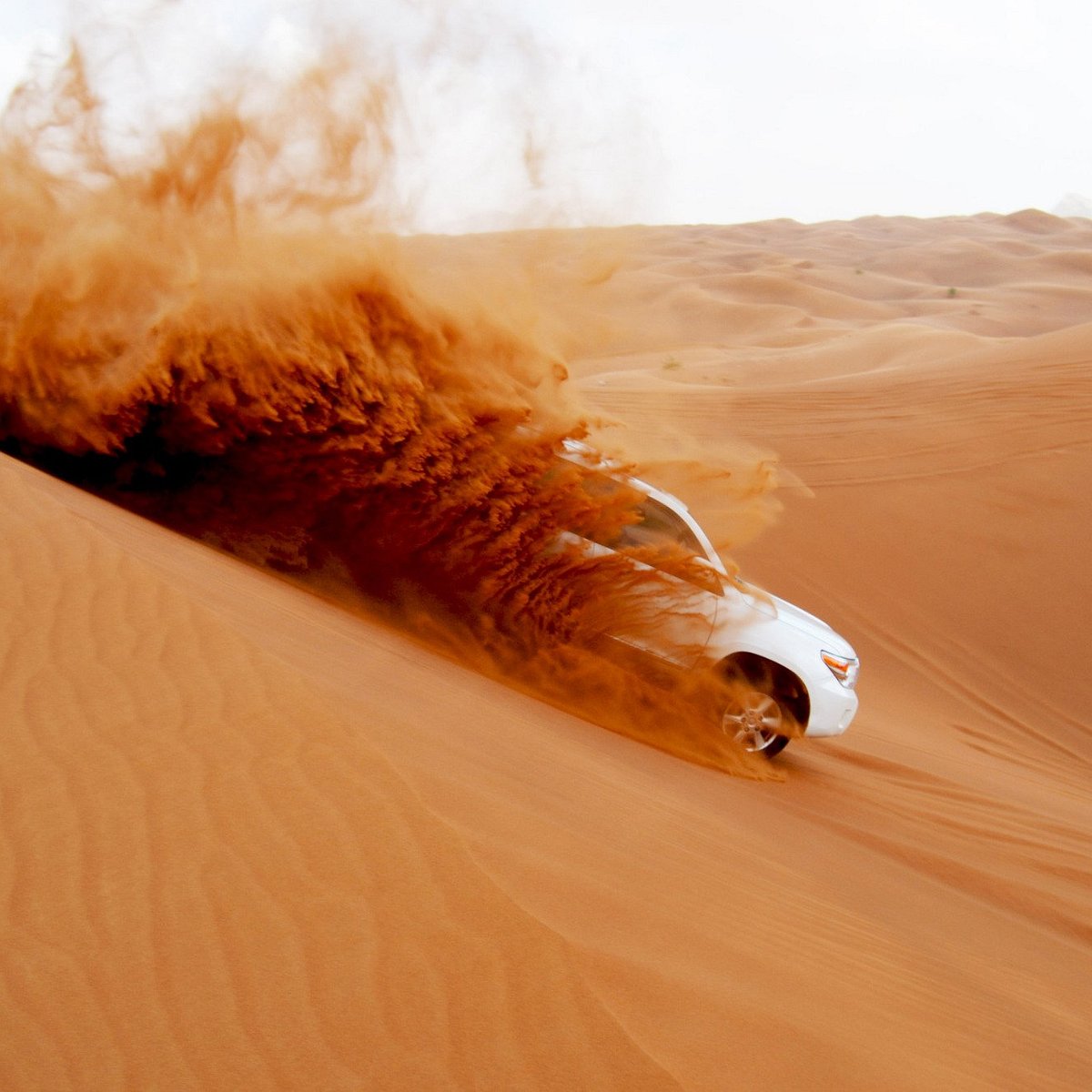 Desert Safari Dubai Experience · The Lost Executive