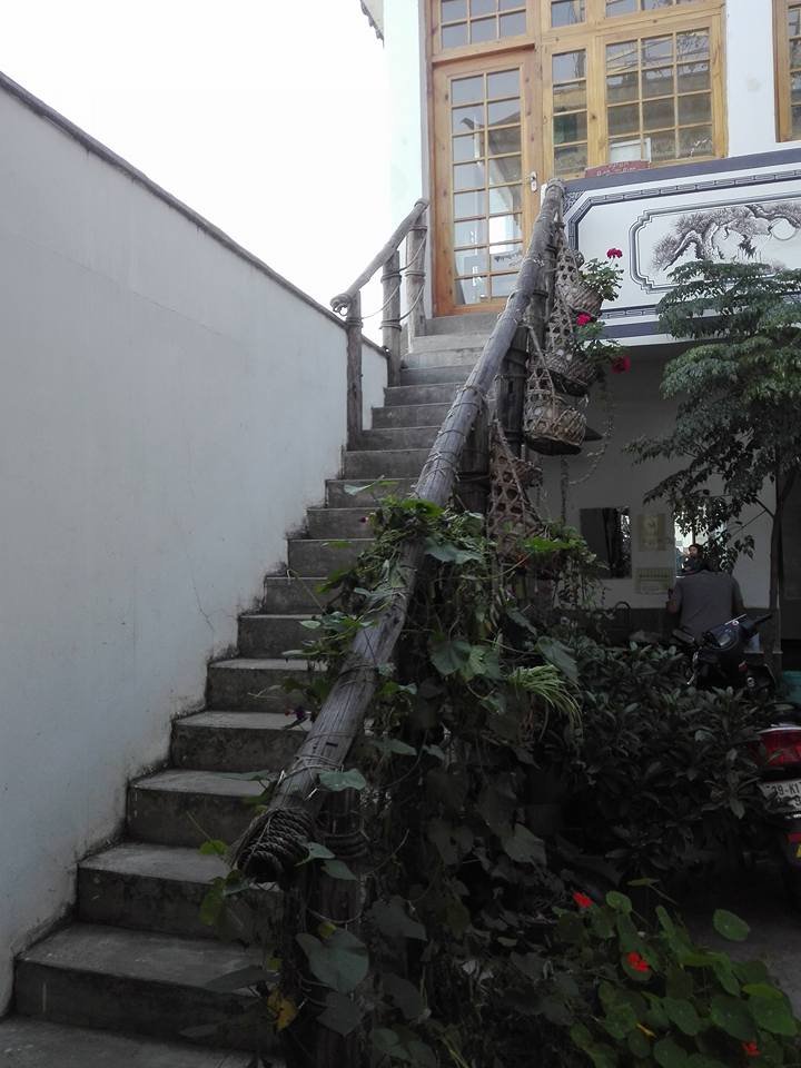 Hotel photo 21 of Dragonfly Guest House.