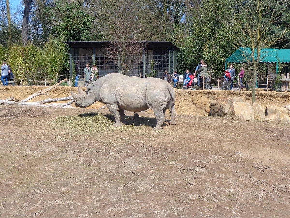 Krefeld Zoo, Крефельд: лучшие советы перед посещением - Tripadvisor