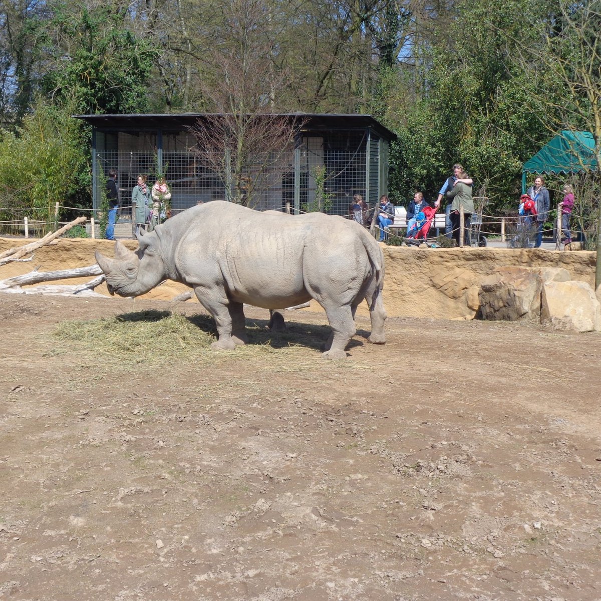 Krefeld Zoo, Крефельд: лучшие советы перед посещением - Tripadvisor