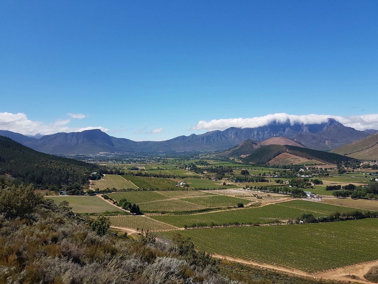 franschhoek vineyard tour