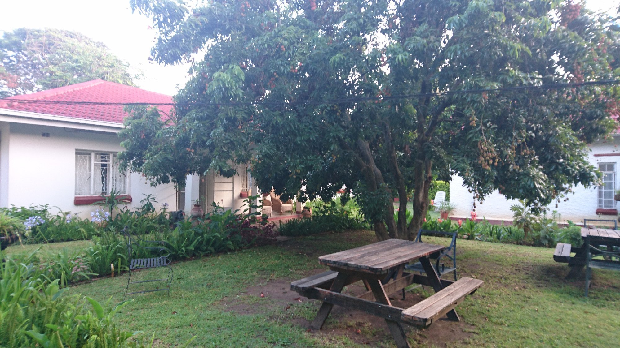 Small World Backpackers Lodge Avondale by null