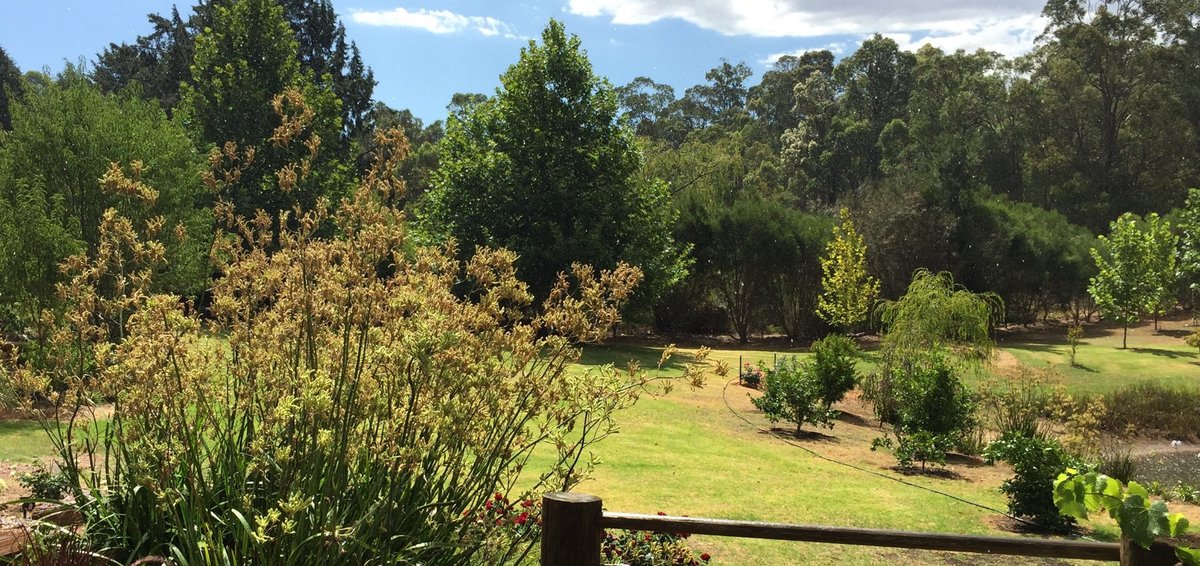 TRUFFLES FOREST ESCAPE - Lodge Reviews (Dwellingup, Australia)