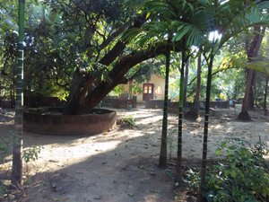 MALVANI HOMESTAY - Guest house Reviews (Malvan, India)