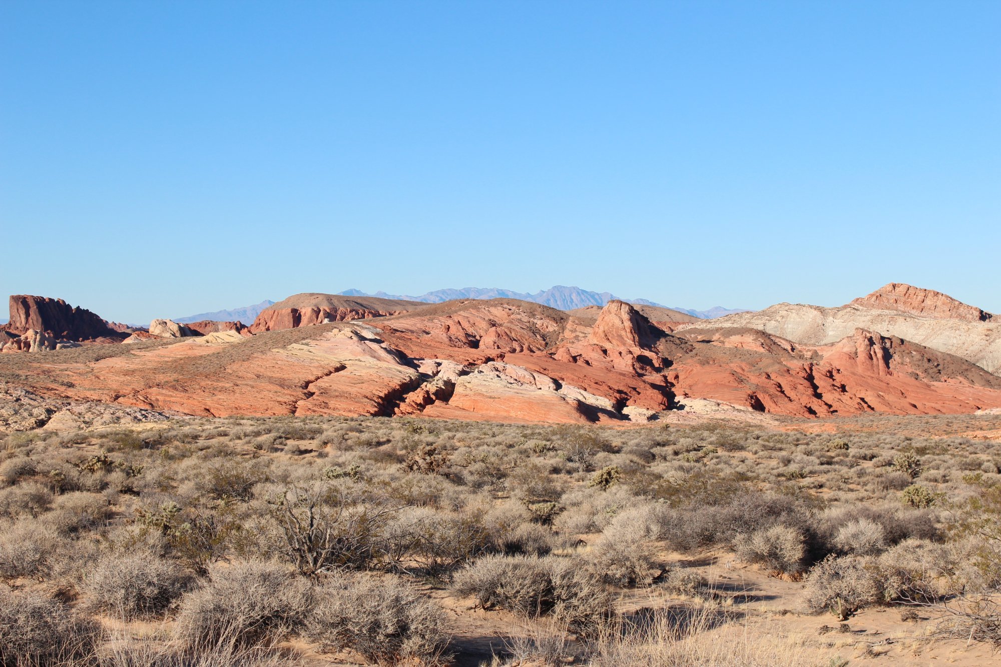 Mojave Experience Desert Tours (Las Vegas) - All You Need to Know ...