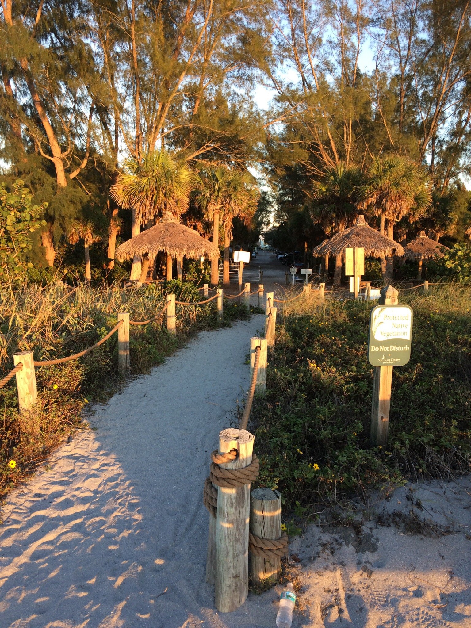 Turtle store beach campground