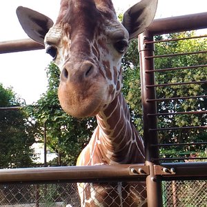 横浜市の動物園 水族館 ベスト10 トリップアドバイザー