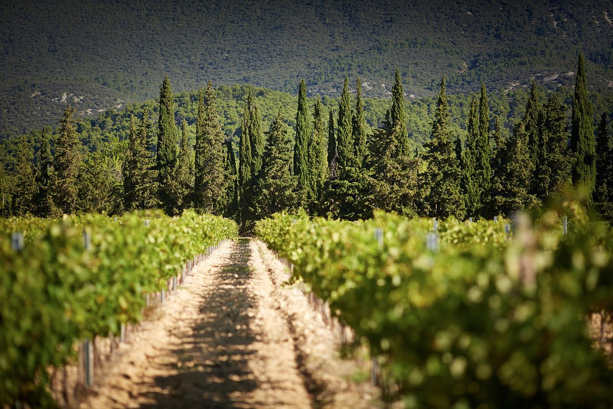 DOMAINE DE FONTENILLE (Lauris) - отзывы, фото и сравнение цен - Tripadvisor