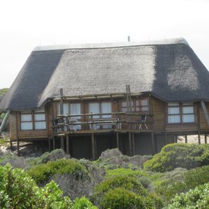 Cottages to accommodate large families