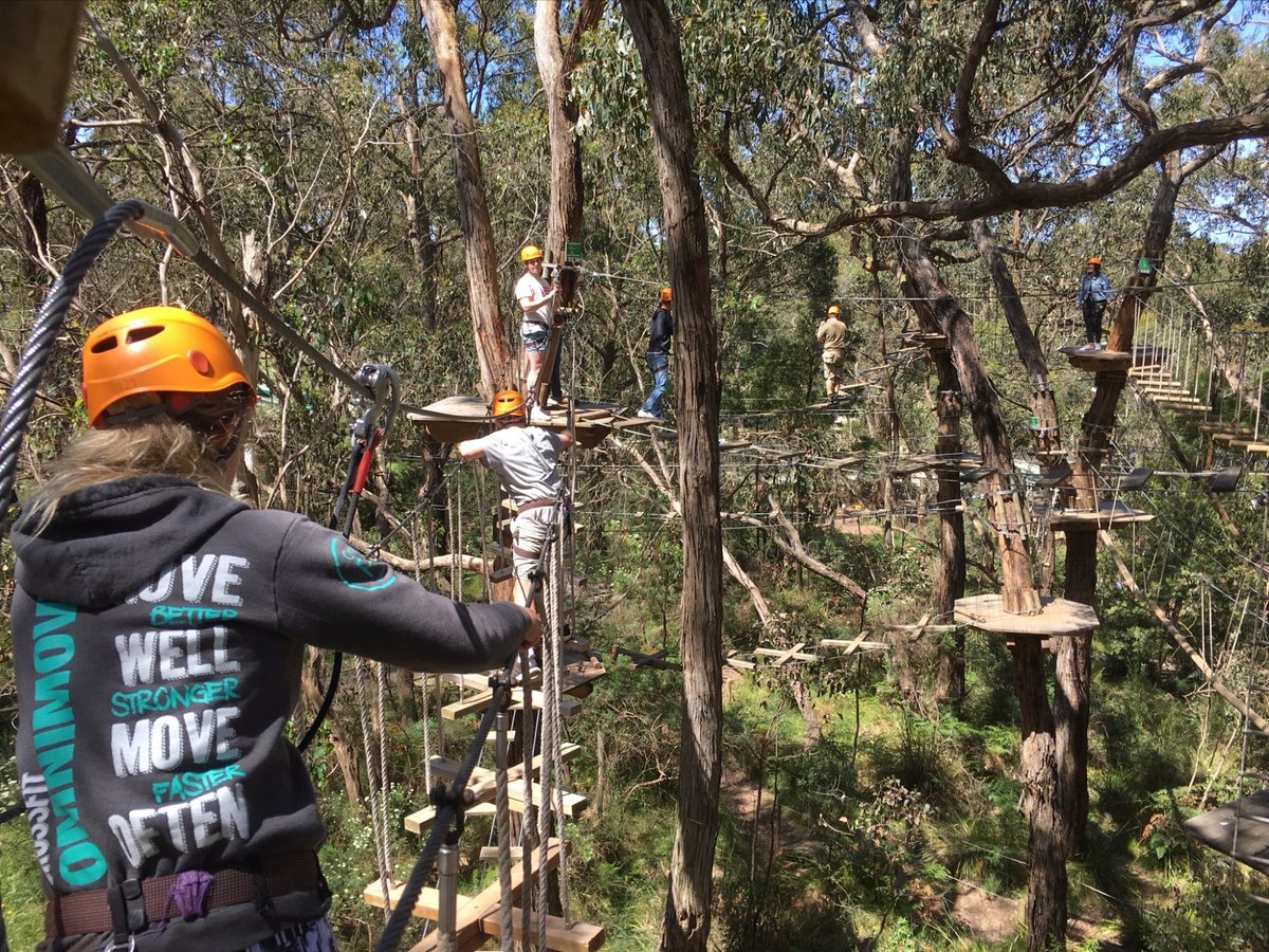 TREE SURFING AUSTRALIA (Arthurs Seat) - All You Need to Know BEFORE You Go