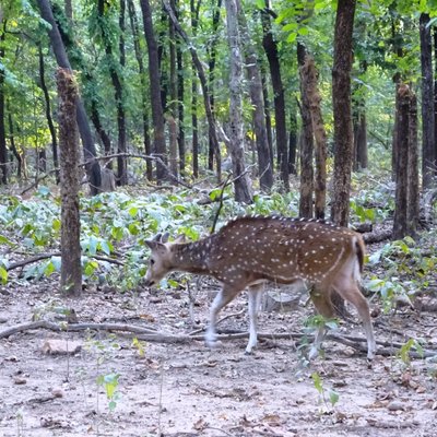 The 10 Best Parks Nature Attractions In Bankura District Tripadvisor