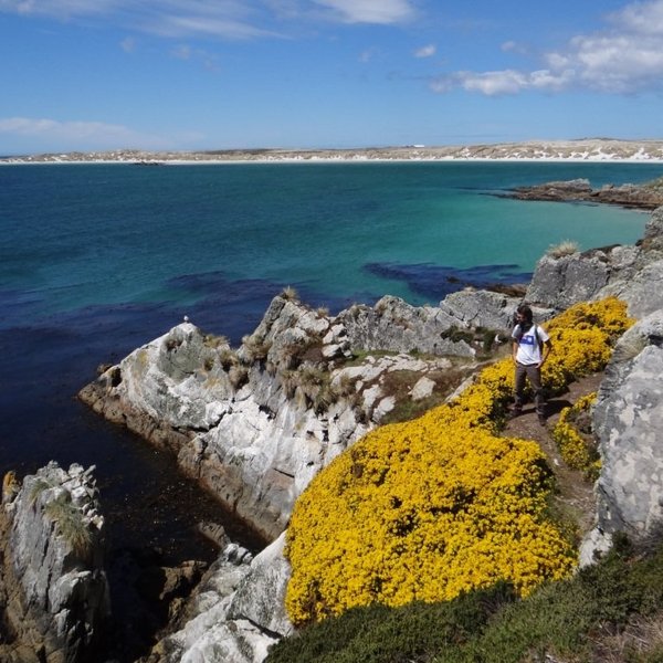 Bluff Cove Lagoon East Falkland Ce Quil Faut Savoir Pour Votre