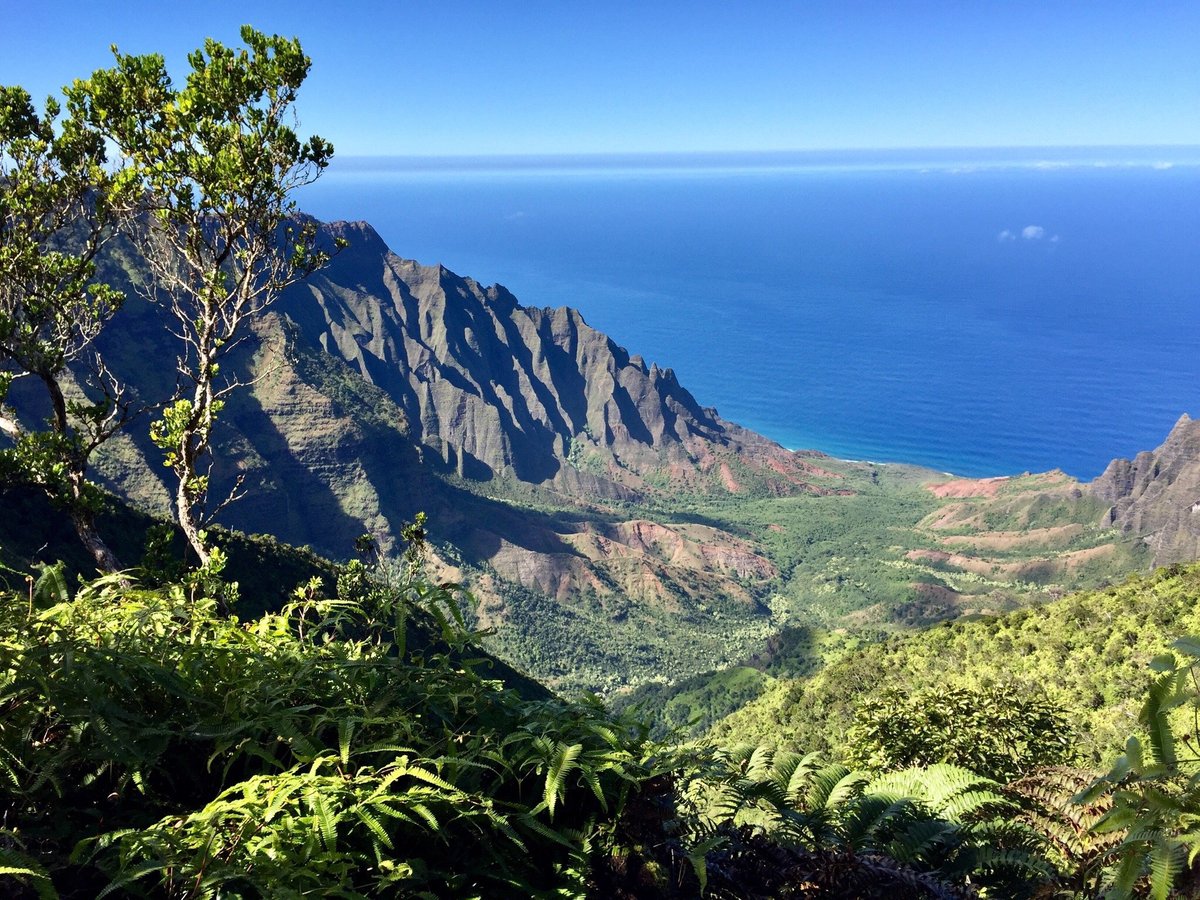 Koke'e State Park (Kekaha) - All You Need to Know BEFORE You Go