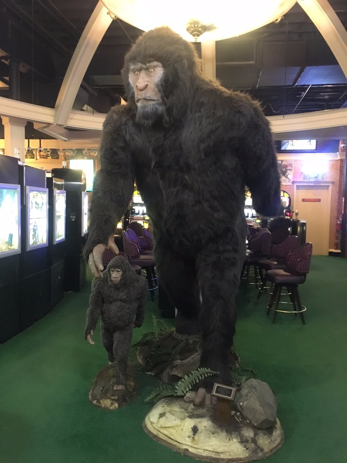 Sasquatch Casino, Black Hawk: лучшие советы перед посещением - Tripadvisor