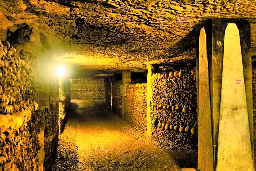paris catacombs tour reviews