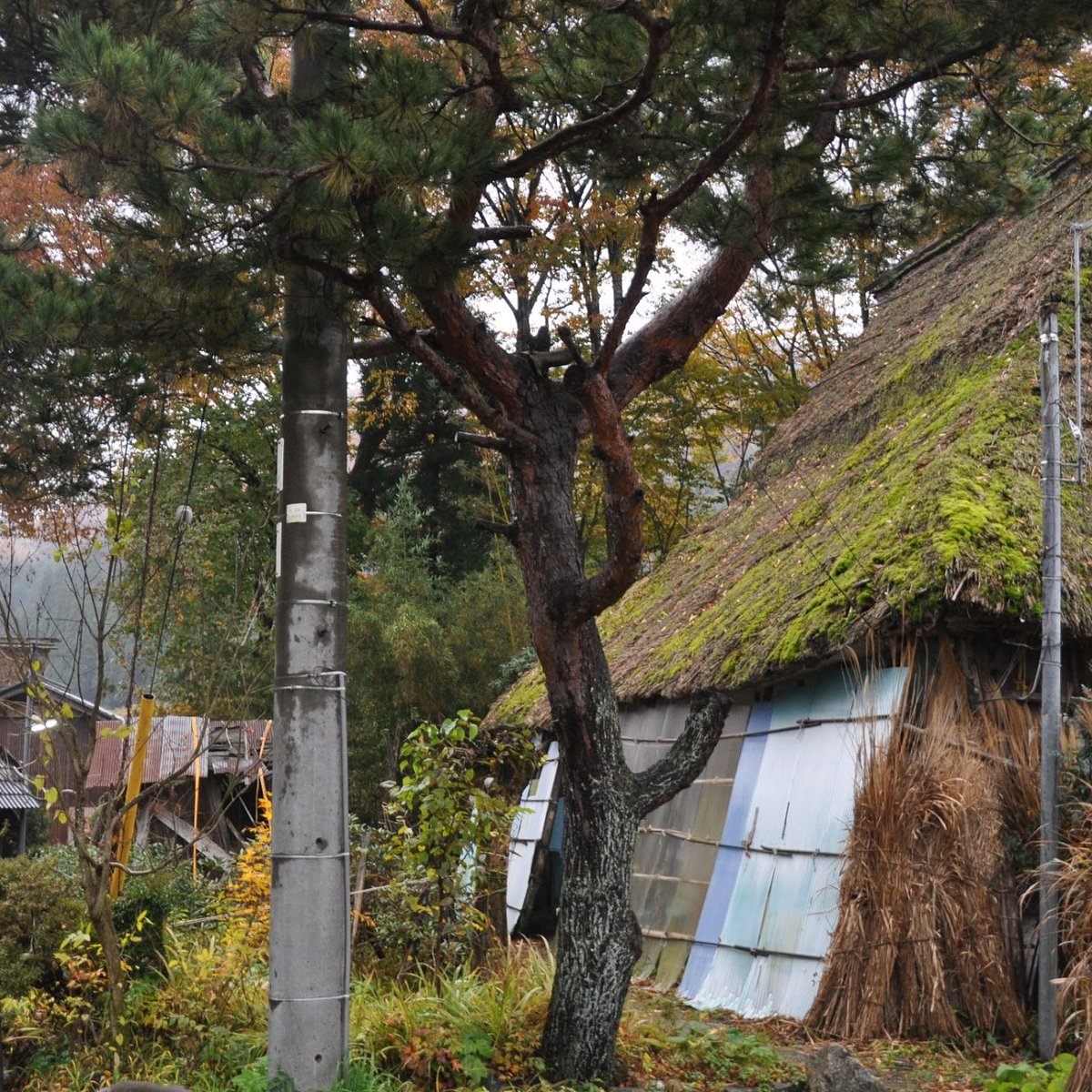 Arihara Village Takashima All You Need To Know Before You Go Arihara Village Takashima All You Need To Know Before You Go