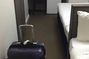 Room & Suite