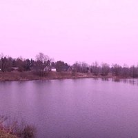 Vista del estanque