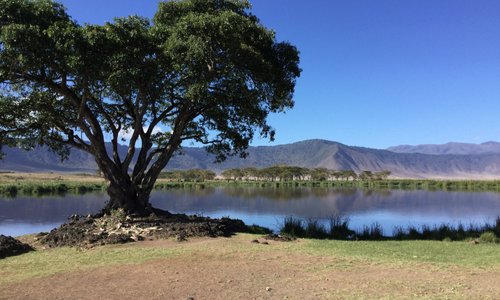 Lake inside Ngorongoro Crater.