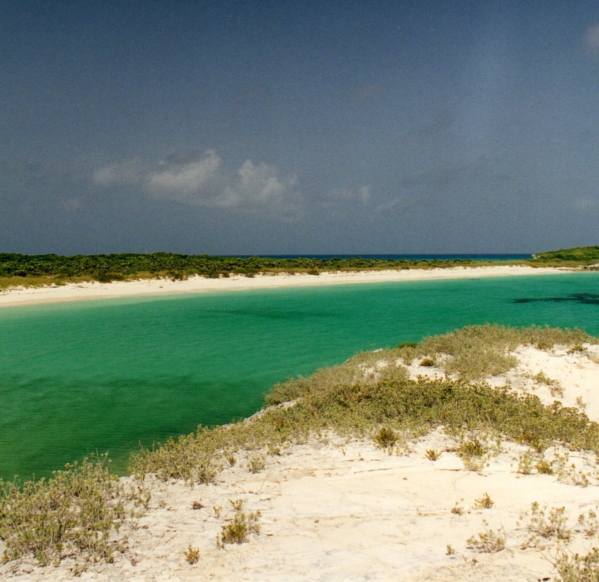 conception-island-national-park-long-island-atualizado-2022-o-que