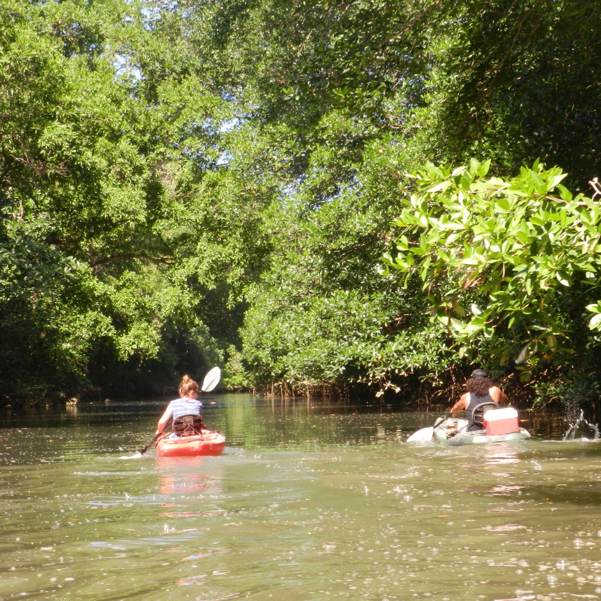 Cacho's Surf School (nosara) - All You Need To Know Before You Go