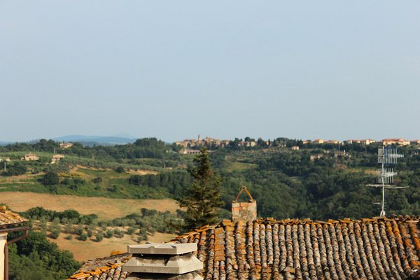 Verdure grigliate - Picture of Locanda Vesuna, Trequanda - Tripadvisor