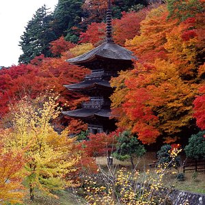 舞鶴 旅行 観光ガイド 22年 トリップアドバイザー