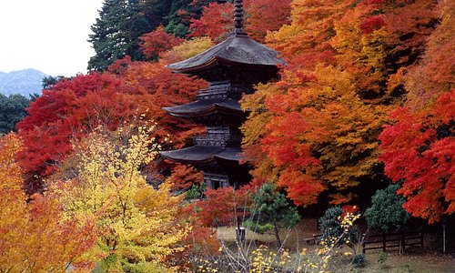 Maizuru 2022: Best of Maizuru, Japan Tourism - Tripadvisor