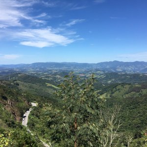 Tripadvisor  Arborismo en el huerto forestal - Campos do Jordão