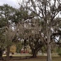 Longfellow Evangeline State Historic Site - All You Need to Know BEFORE ...