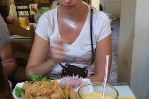 Bebidas